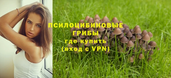 мяу мяу мука Абинск