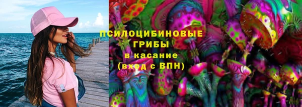 a pvp Абаза