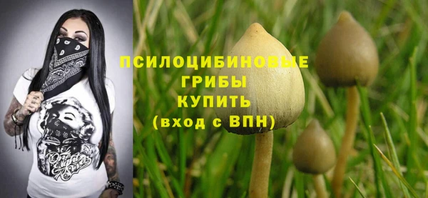 a pvp Абаза