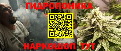 СК Владикавказ