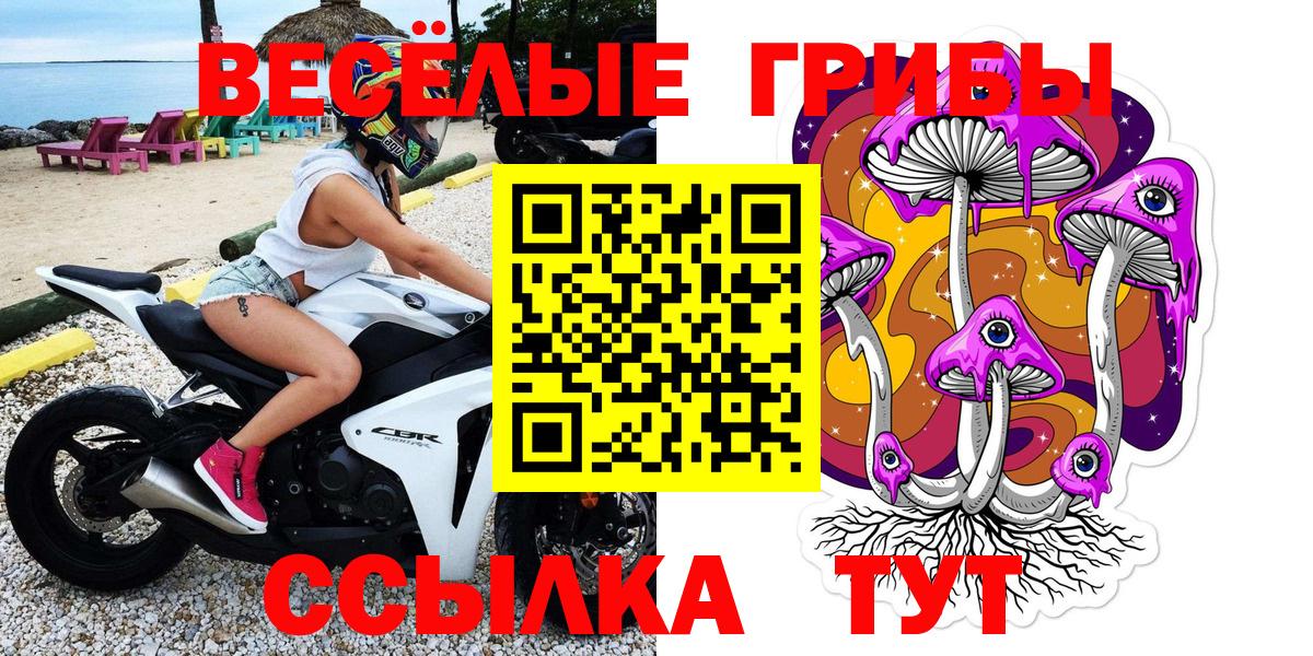 Псилоцибиновые грибы MAGIC MUSHROOMS Владимир